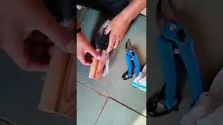 Garden Tools. Best Gardening tools in 220. #gardening #gardeningtools #gardeningtips #shorts