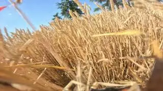 Just for Fun (FPV Freestyle SBANG somehow)