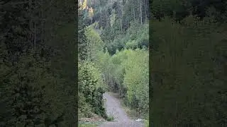 I confused the elk...😆