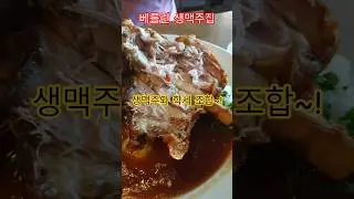 특파원수첩 베를린 생맥주 집 호프브라우에서 생맥주와 학세를. 구독과좋아요🌹관광명소 미리보기