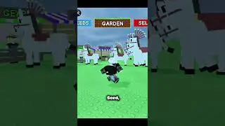 PENJELASAN SKILL PET BARU CARNIVAL EGG - SHOW PONY 🎉🐎💥
