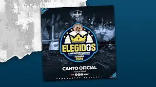 ELEGIDOS Campamento Nacional 2024 (Canto Oficial) Exploradores del Rey Guatemala