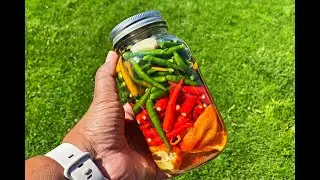 Маринованные перцы «Птичий глаз» #ВкусныеВторники | CaribbeanPot.com