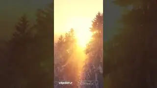 New song 