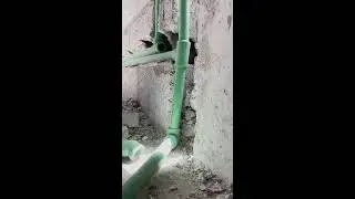 #new installation #newbathroom#waterline part 2