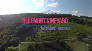 BlueMont Vineyard