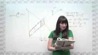 Microeconomics Practice Problem - The Cost of Externalities and the Logic of Corrective Taxes