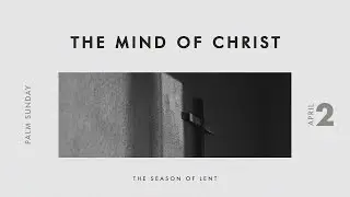 🔴Collective Online | The Mind of Christ