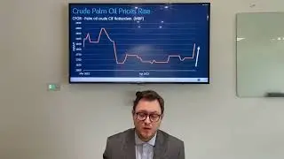 Palm Oil - Indonesia Bans Exports | Mintec