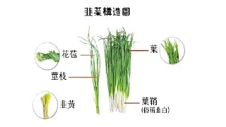 20251130 有人敲碗：【普安(AES-KY)、日月光投控、創惟(祥碩)】。