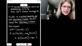 Jennifer Wilson: The top-degree rational cohomology of the special linear group of a number ring