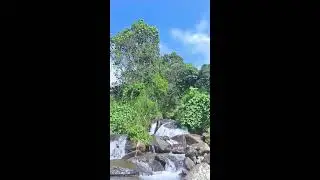 Let Go of Stress with Gentle River Sounds in a Peaceful Forest