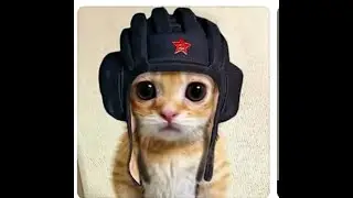 ДРУНА УДАРИЛА ТОКОМ