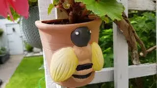 Garden 2019