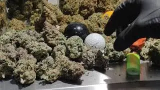 Dense Buds, balls, and lighters