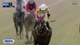 (Seoul) 2025.01.05 R7 Class 4 (1400M) Handicap - Jockey Kim Hyo-jung's 100th career winner