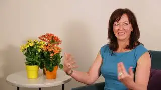 How Your Intentional Energetic Presence&reg; (IEP) Impacts Your Leadership
