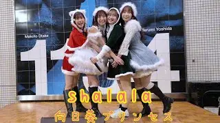 20251224 shalala/向日葵プリンセス　
