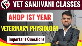 Ahdp 1st year 2025 | Veterinary Physiology | Ahdp 1st Physiology Old paper Solution | By Hanuman Sir