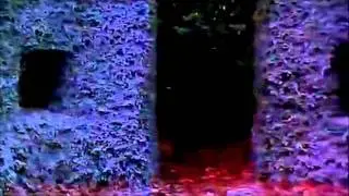 Carlo De Filippo feat. Simona Giusti - Daffodils