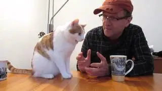 Music Jokes from Violettes, A Gift Ideas for Music Lovers Company