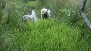Dubbs Beck De silting 2013