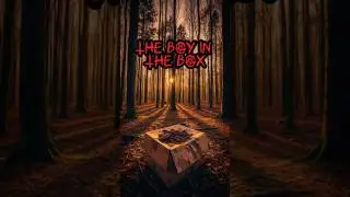 The Boy in the Box &ndash; True Horror Story