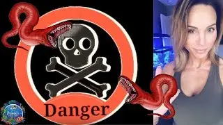 Saltwater Worm Identification - Eviction of Harry - Mindi's Coral Reef