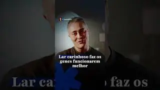 Lar carinhoso faz os genes funcionarem&nbsp;melhor