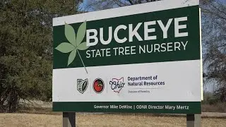 New Buckeye State Tree Nursery opens in Muskingum County