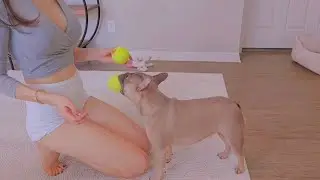 Korean Girl&rsquo;s Daily Routine | Cooking & Playing with My Cute Pup