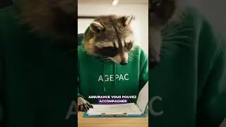 Le BTS Assurance : le dipl&ocirc;me pour devenir un vrai pro de l'Assurance 💚🛡️