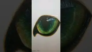 Video I made at age 13 #aesthetic #art #artist #artistic #artwork #creativityeveryday #youngartist