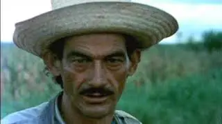 Brasiliana Document&aacute;rio 5 O EXODO RURAL