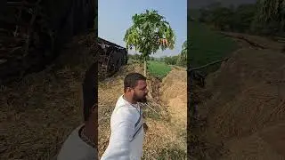 Daily quotes #quotes#trending #farming #yt #trendingshorts #new #ytshorts #shorts #shortvideo #short