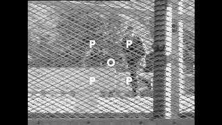 Pop Clip #01
