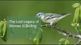 The Lost Legacy of Women in Birding