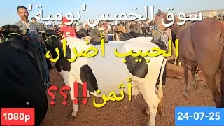 #مباشرة #سوق #الماشية🐂🐄 #بومية إقليم ميدالت بتاريخ 24-07-25 ،تمن البقرة لتابعة؛ لعجل،لعجلة الكسابية