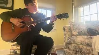Ugly brunette - Horse Jumper of Love (acoustic cover)