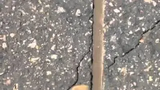 Micro trench 2