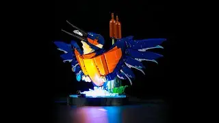 BriksMax Light Kit For Lego Kingfisher Bird 10331