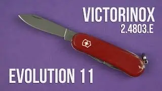 Распаковка Victorinox Evolution 11 (2.4803.E)