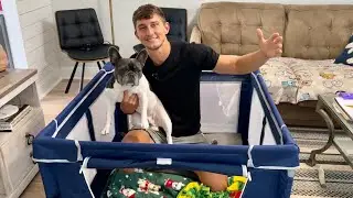 The Perfect Dog Playpen I Found On Amazon!