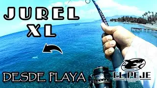 Pesca de JUREL GIGANTE [Giant JACK from SHORE]😱¡MAS DE 20 LBS!😱
