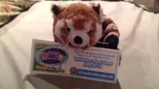 #OneWebkinzWorld: My Red Panda!