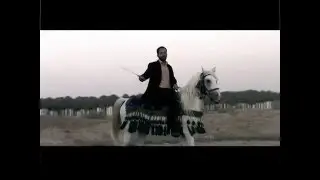 الحمزه عم النبي ع علي الكربلائي HD