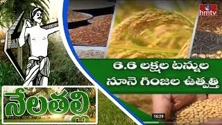 2016-2017 Telanaga Agriculture Report | Nela Talli | HMTV