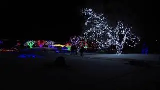 Winter Lights Festival