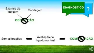 INDIGEST&Atilde;O VAGAL DE BOVINOS: Discuss&atilde;o