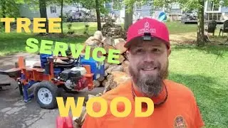 Stacking Ash And Maple #11